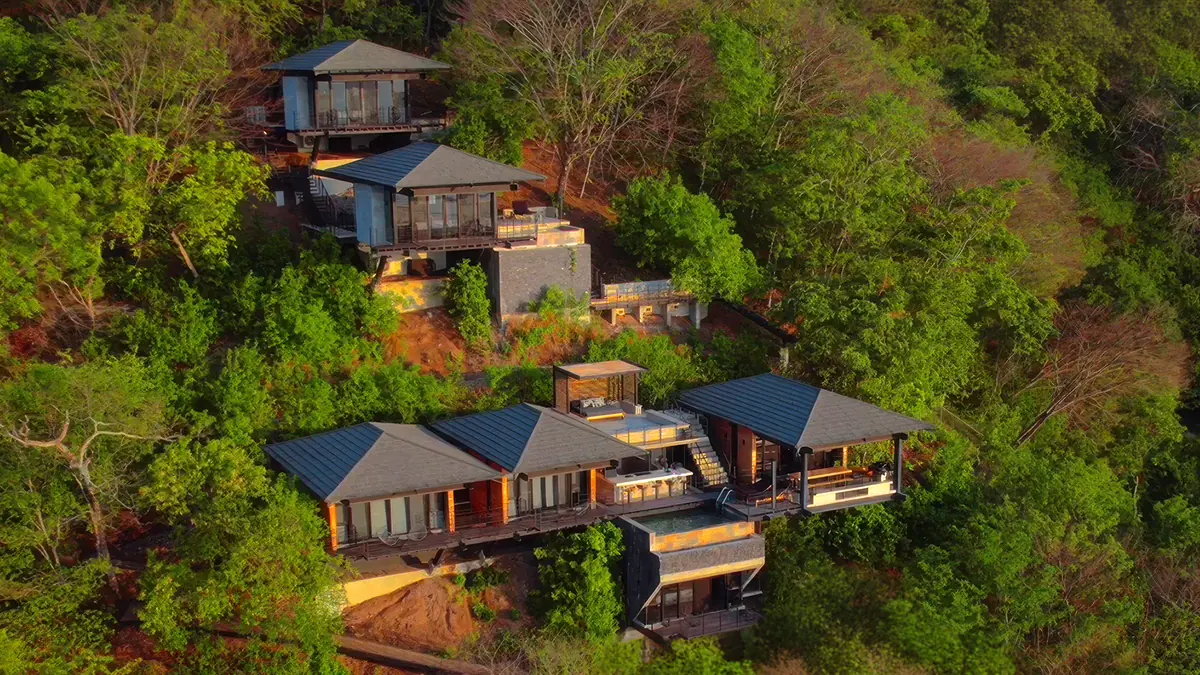Aerial view of the villas set among the trees above the coast